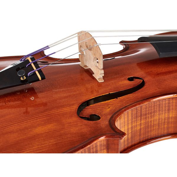 Luca Zerilli Viola Guarneri Trieste 15,5
