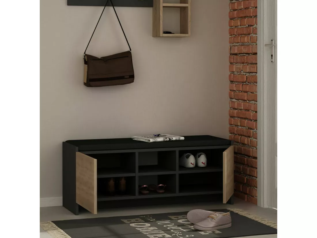 Meuble à chaussures Algedi, Meuble à chaussures, Armoire d'entrée polyvalente, Rangement pour chaussures, 110x37h43 cm, Anthracite et chêne