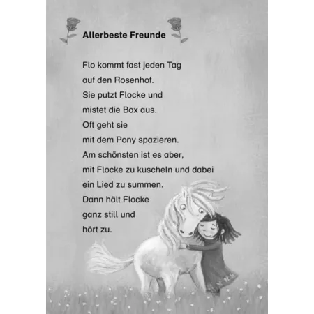 Carlsen Verlag Pony Flocke Doppelband