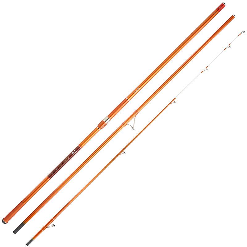 Canne Surf Daiwa Cast'izm