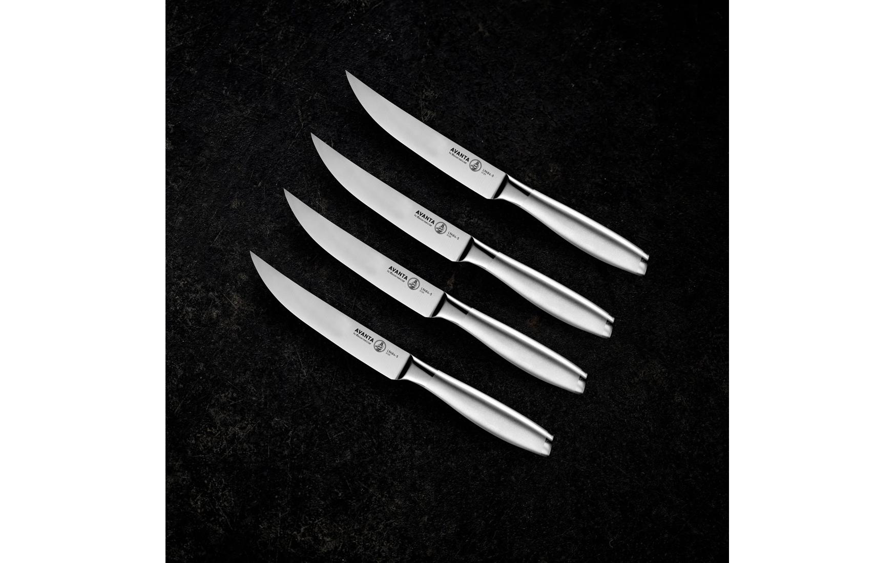 Steakmesser-Set Avanta 1 Stück, Silber4-teiliges Steakmesserset mit feiner Schneide