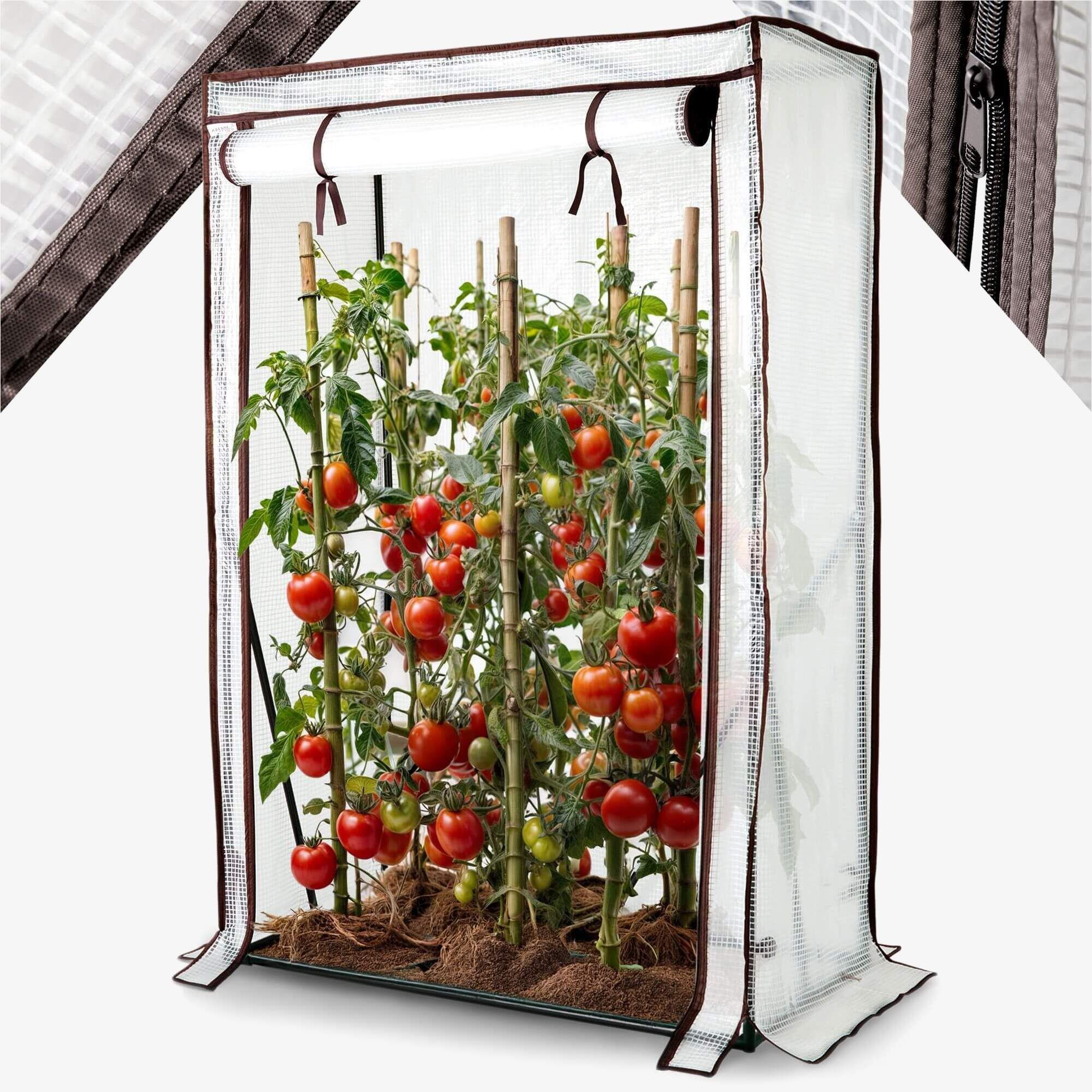 Tomatengewächshaus 100 x 50 x 150 cm