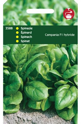 Hortitops Spinazie Spinacia oleracea Campania F1 - 50 Gram - Spinazie - 50 Gram