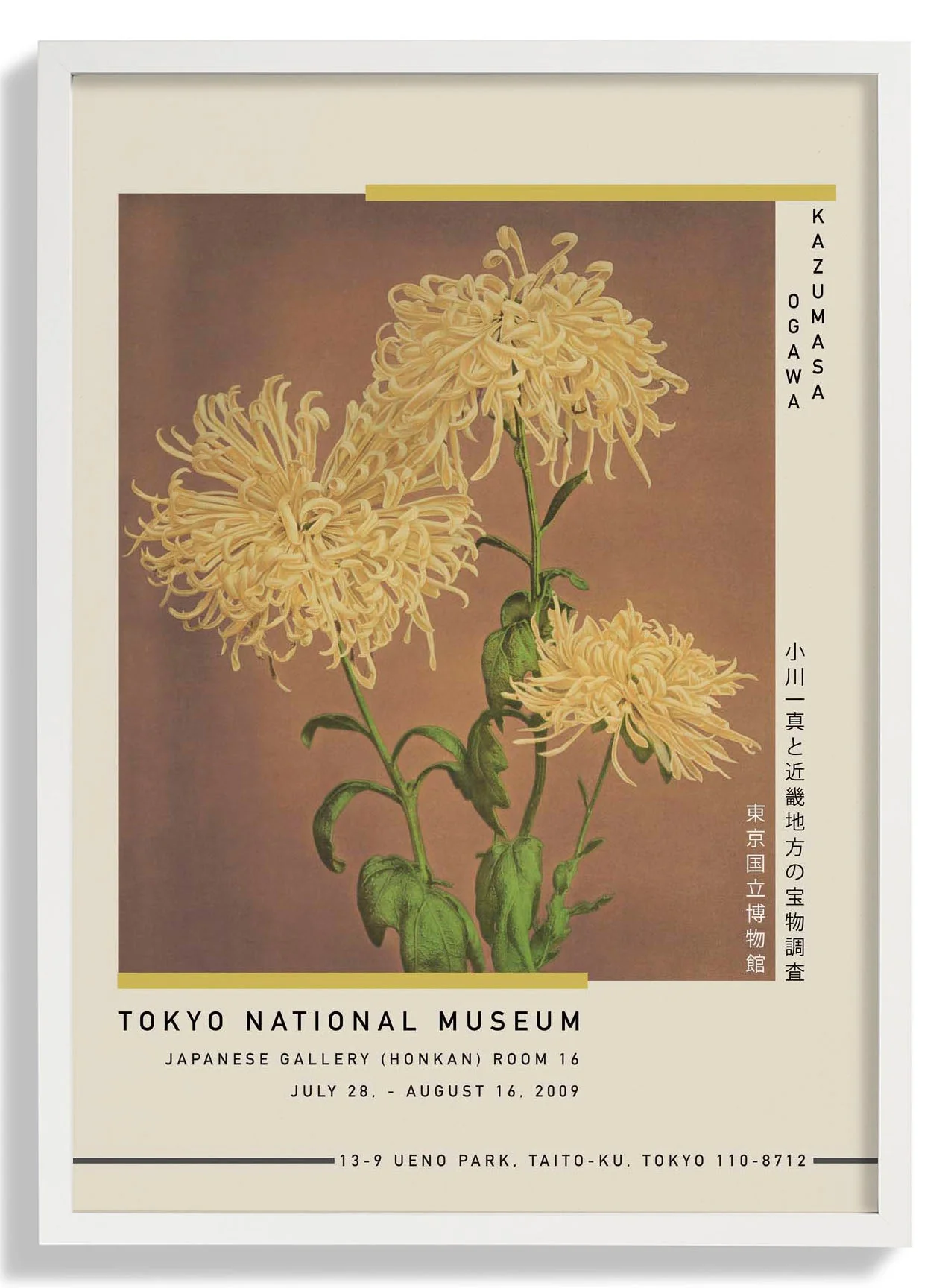 Drei gelbe Chrysanthemen von Kazumasa Ausstellung