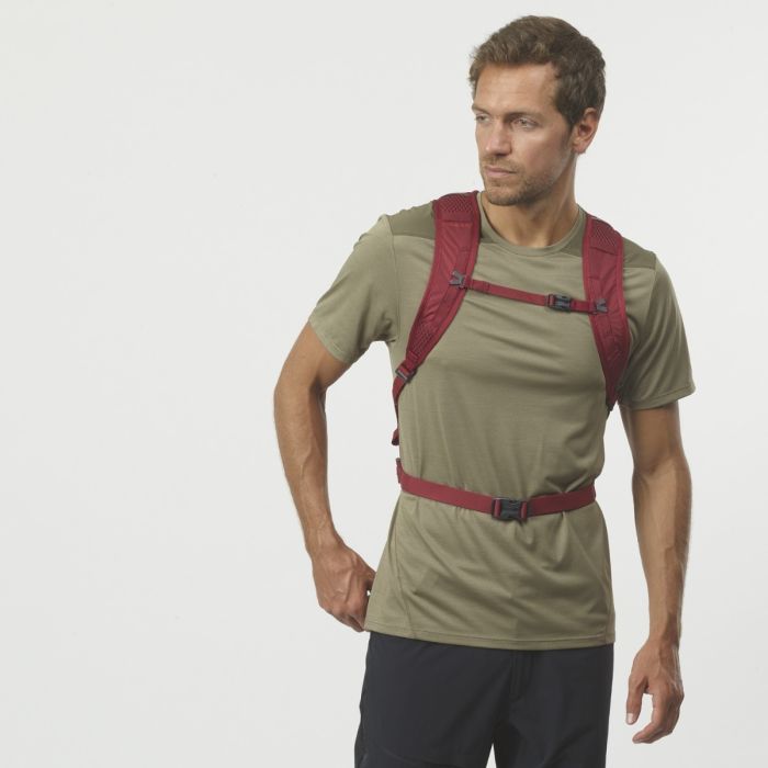 Salomon Unisex Rygsække og tasker Trailblazer 10 Rød