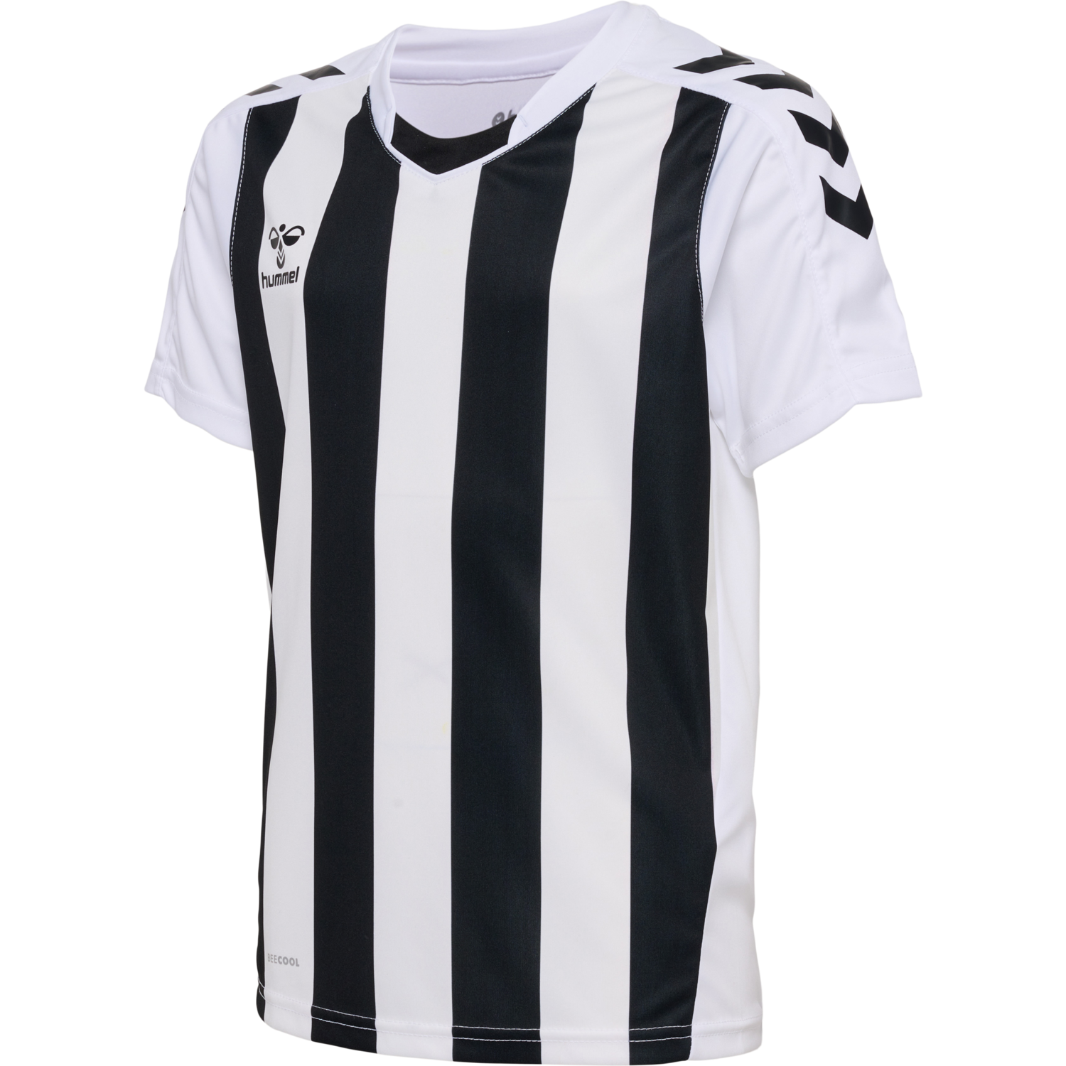 hmlCORE XK STRIPED JERSEY S/S KIDS