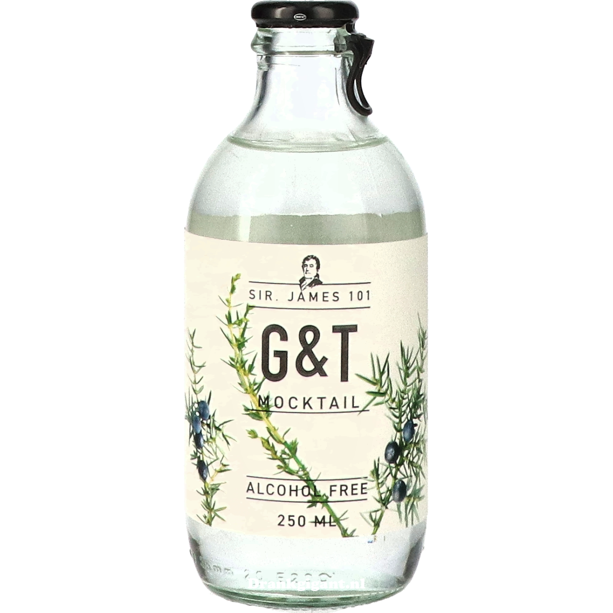 Sir James 101 Gin Tonic Taste 25 cl