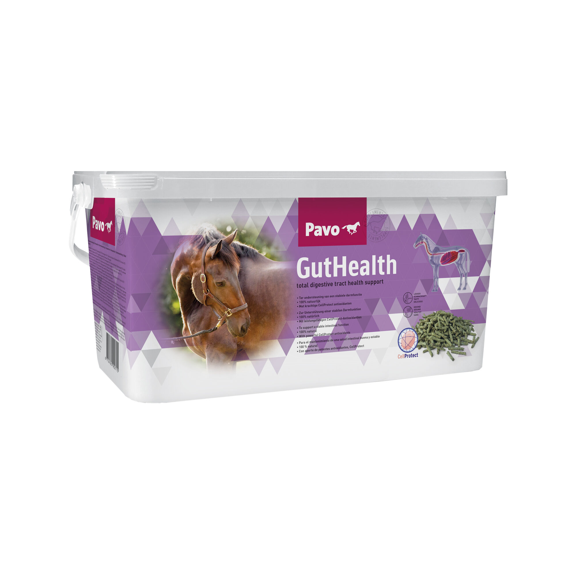 Pavo GutHealth