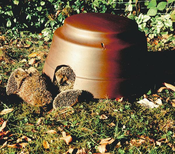 Schwegler Igelkuppel mit Boden