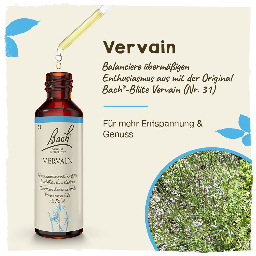 BACH®-BLÜTE VERVAIN (Eisenkraut)