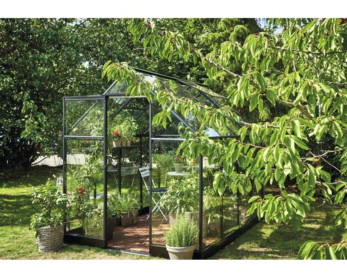 Halls Qube 68 kas, 5,1 m², 3 mm veiligheidsglas, 198 x 259 cm, zwart