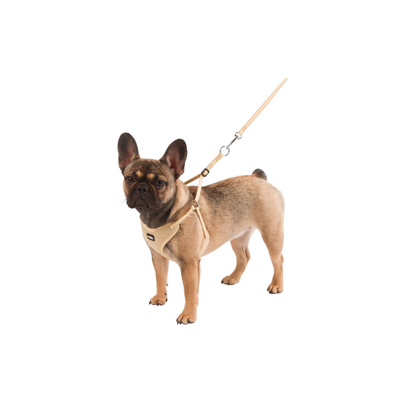 Kerbl Welpengeschirr mit Leine beige 24 - 44 cm/10 mm