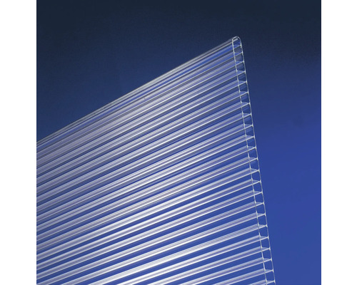 Gutta polycarbonaat meerwandige plaat/wandplaat 10.7-10 helder 2000 mm x 1050 mm x 10 mm