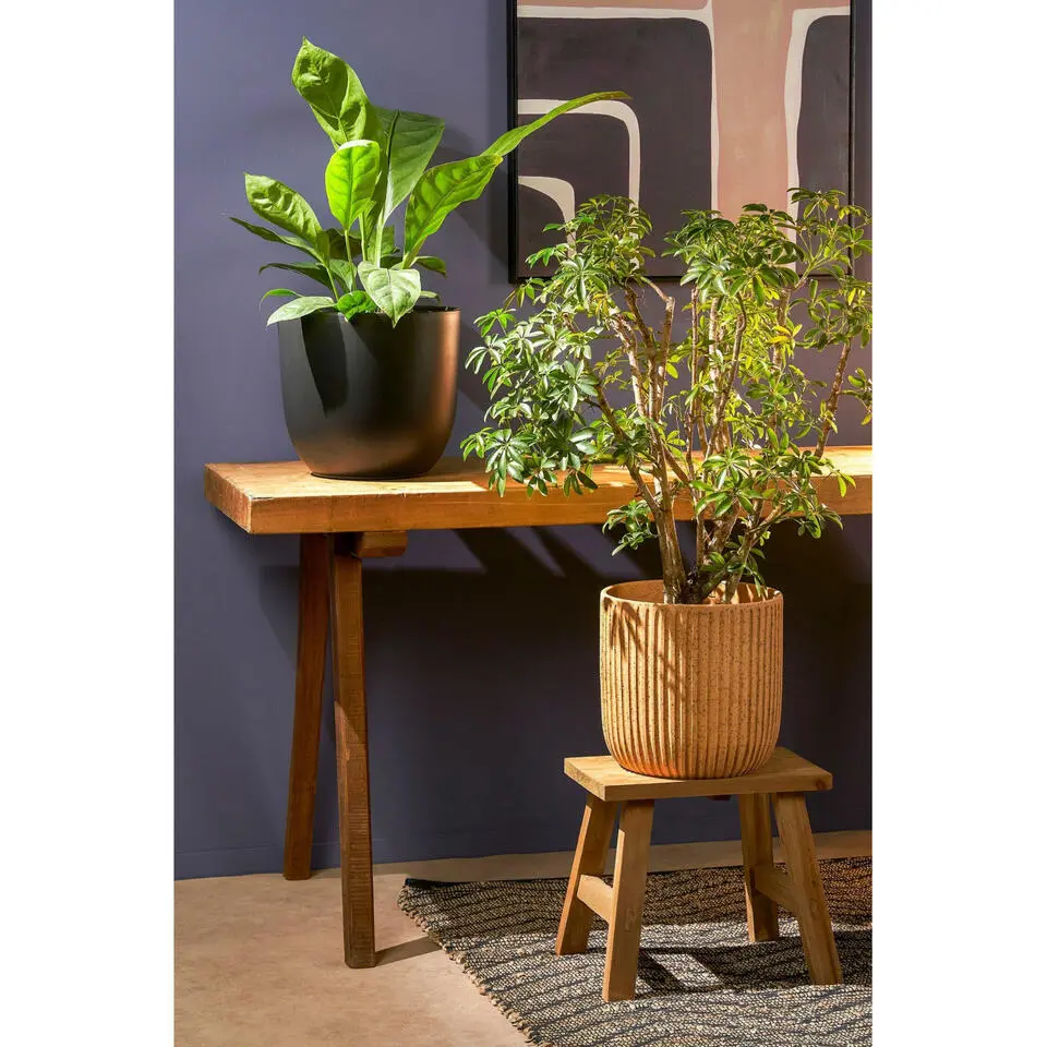 Mica Decorations Planten/bloempot Tusca - Zwart - D31/H28 cm