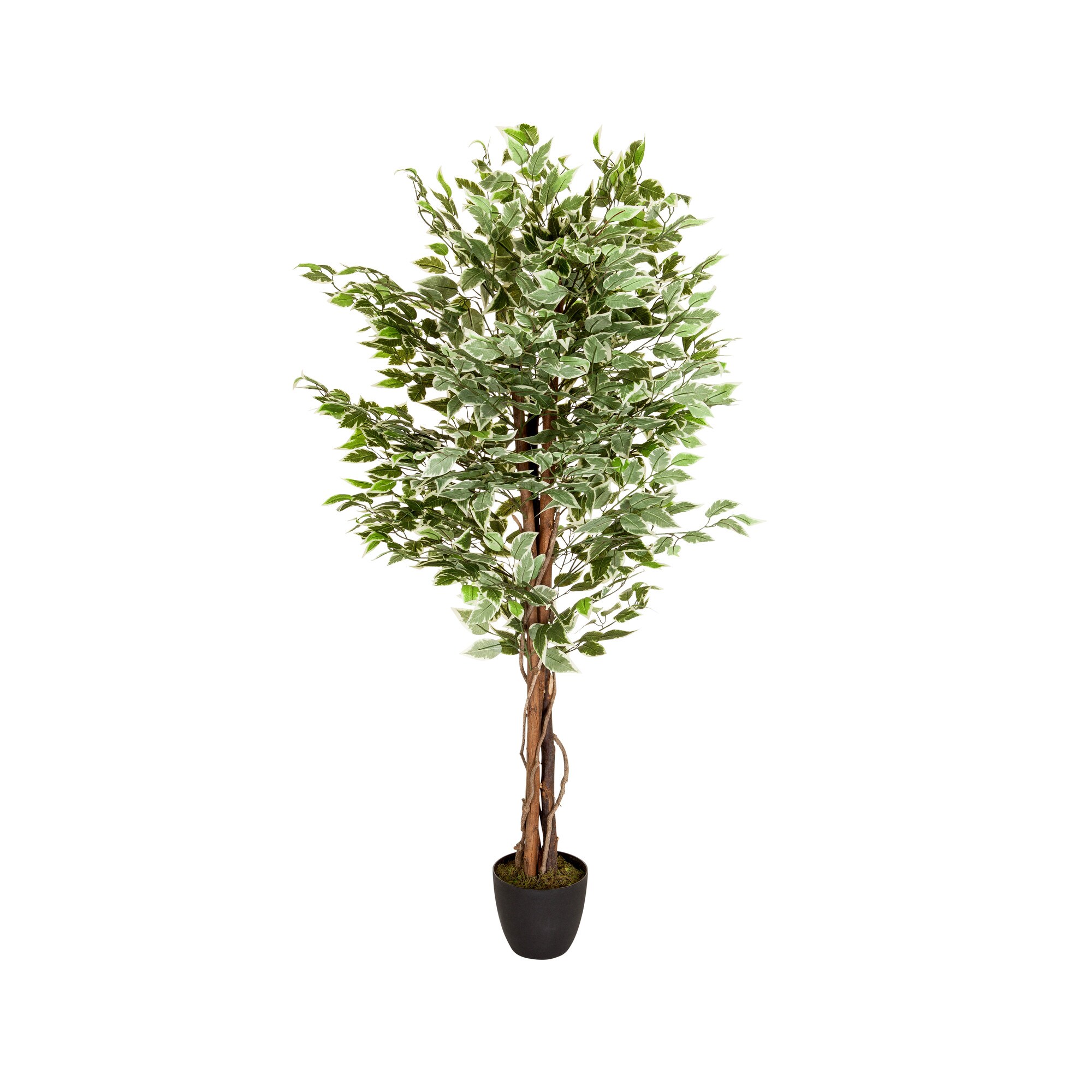 Kunstpflanze FICUS Kunststoff, Stoff hjh OFFICE