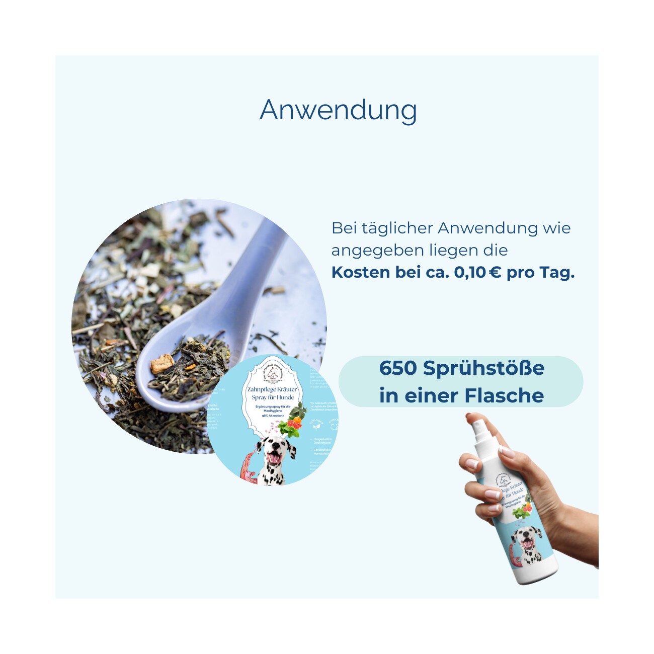 Hand aufs Pferd/Hund Zahnpflege Kräuter Spray – für Hunde 200ml
