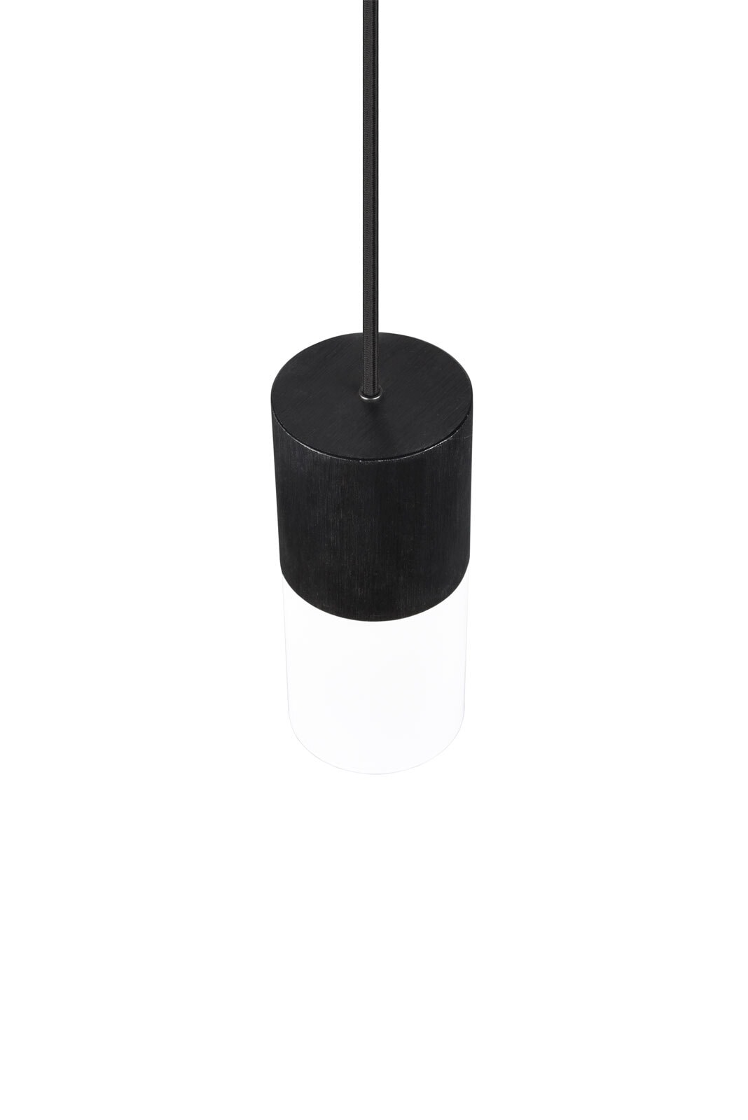 TRIO Retrofit Pendelleuchte ROBIN X 1-flg schwarz