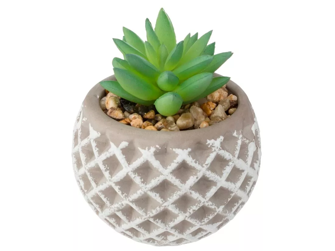 Pot de Succulent en Ciment 8x9