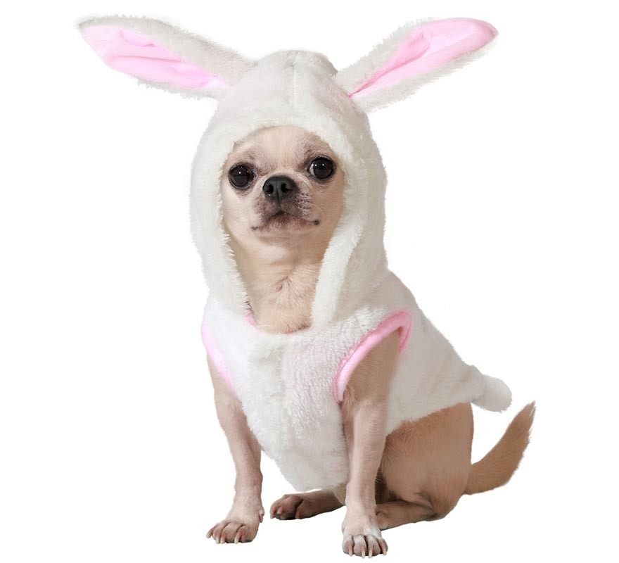 Fantasia de Coelho Branco Atosa para Cães
