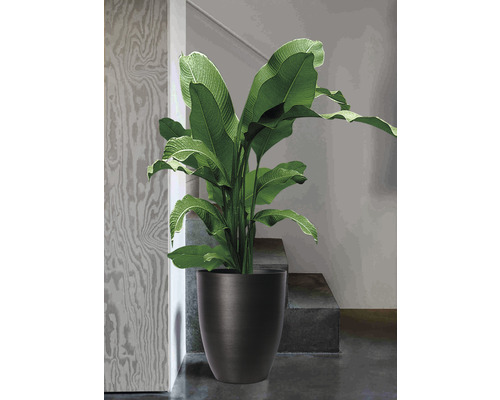 Lafiora kunststof plantenpot Ø 35 x H 42,5 cm zwart