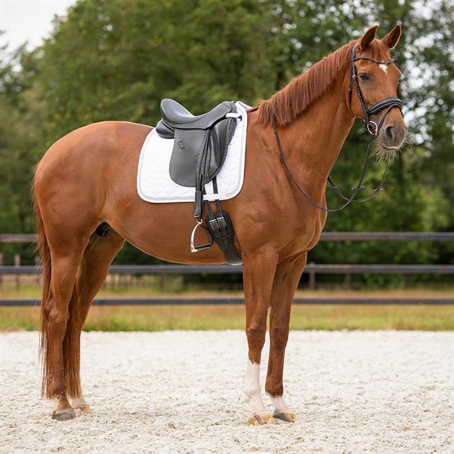 Zadeldek QHP Sparkle Dressuur Wit