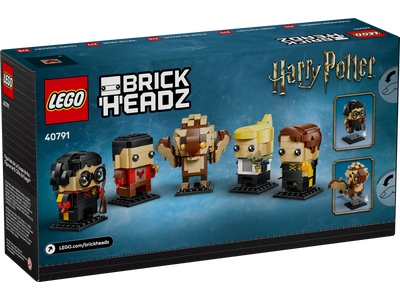 LEGO De Vuurbeker figuren (40791)