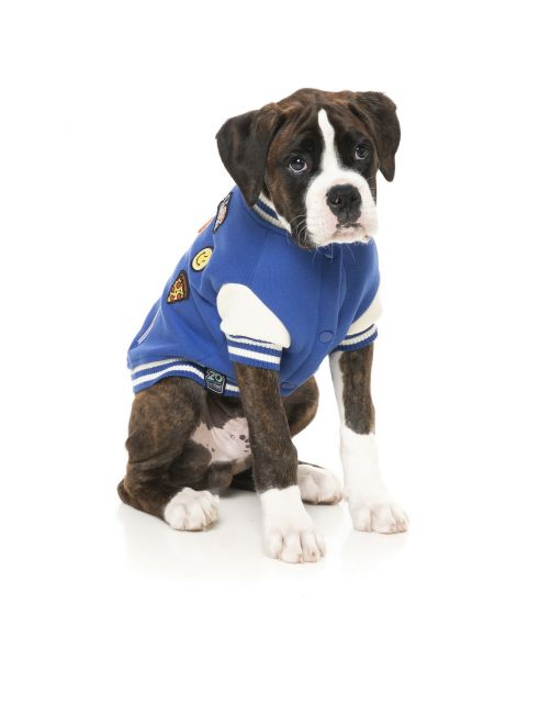 Fuzzyard The Letterman Jacket Blauw - Hondenkleding
