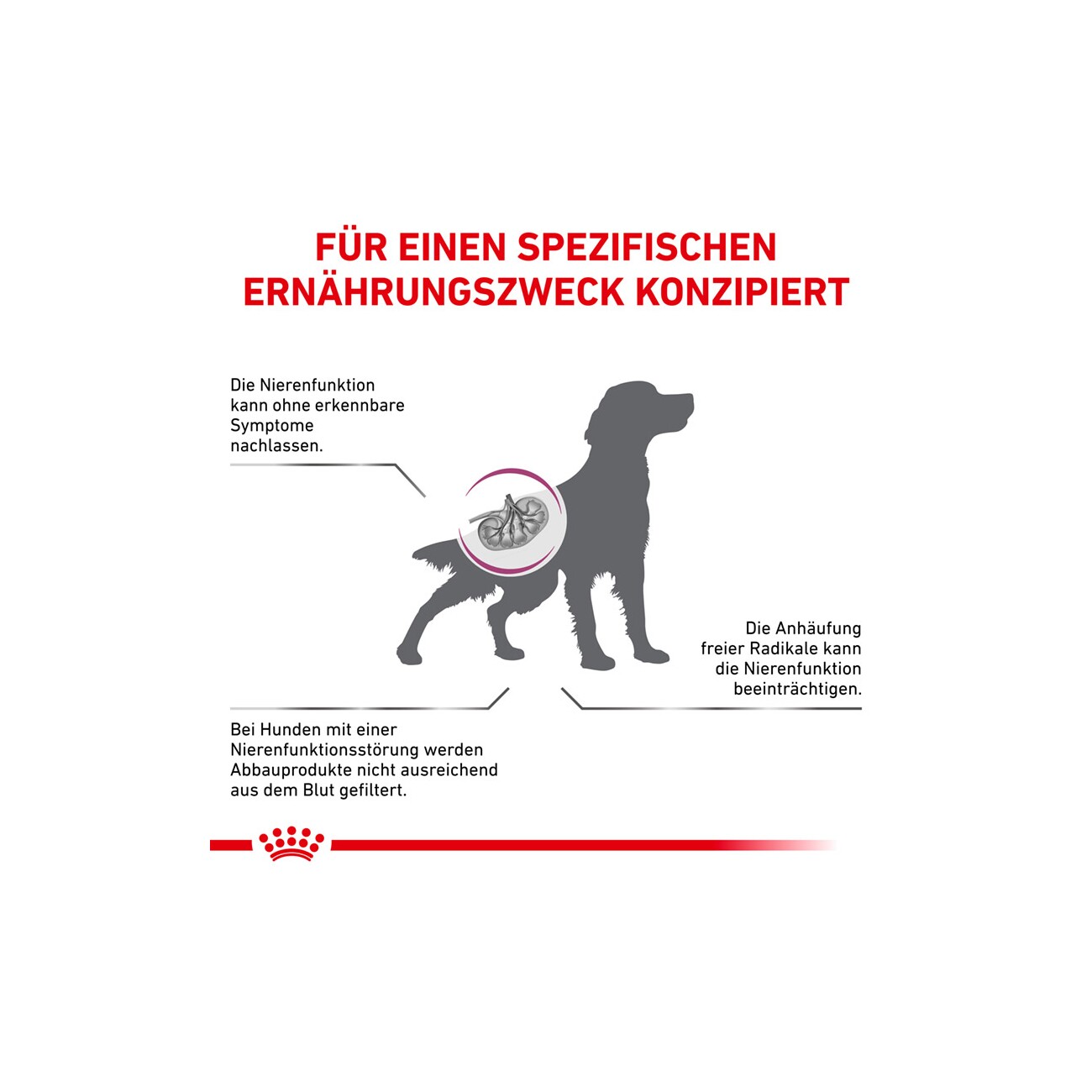 ROYAL CANIN Veterinary EARLY RENAL 2 kg