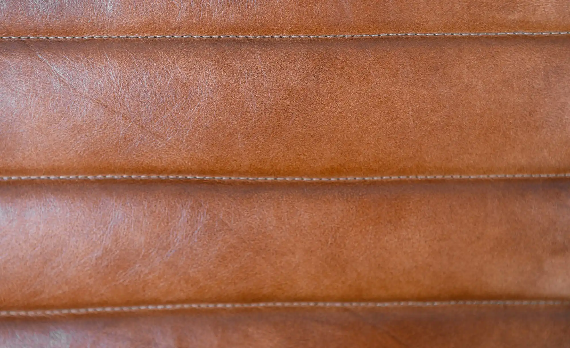 Freischwinger Sessel Buff