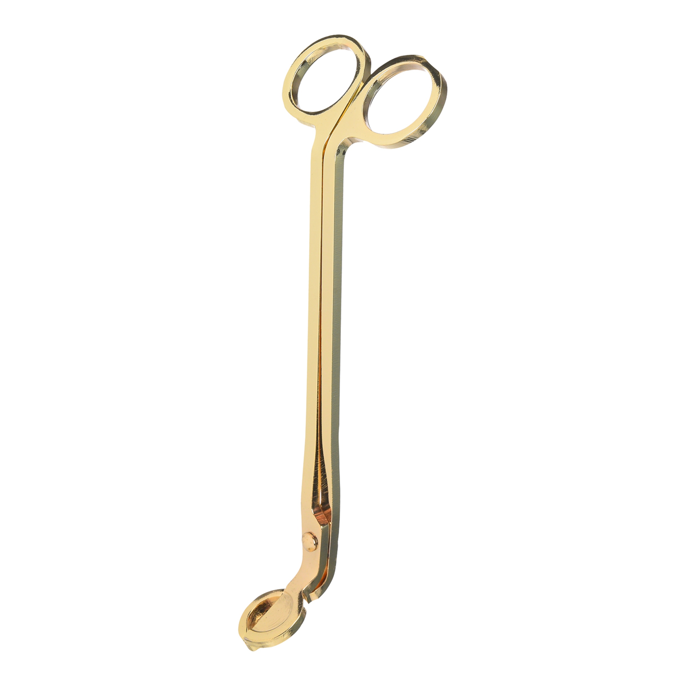 champagne, L 18 cm