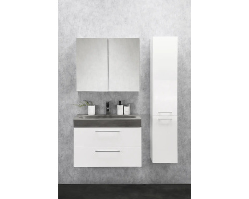 Badkamermeubelset Differnz Somero BxHxD 60 x 57 x 38 cm, frontkleur wit hoogglans met wastafel betongrijs