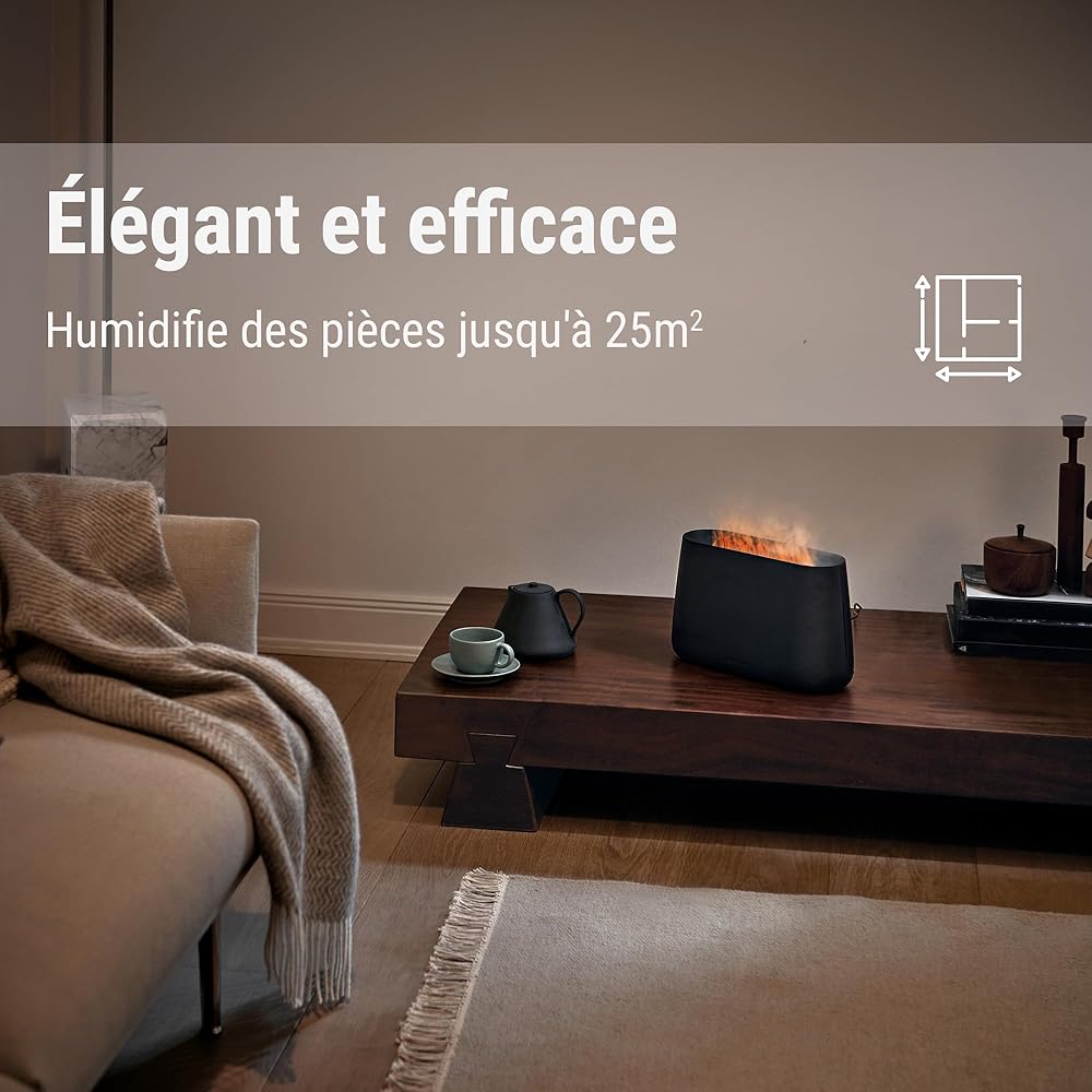 Humidificateur et diffuseur d’arômes Ben de Stadler Form. Humidificateur à ultrasons pour pièces jusqu’à 25m2, avec effet feu ouvert, noir : Cuisine et Maison