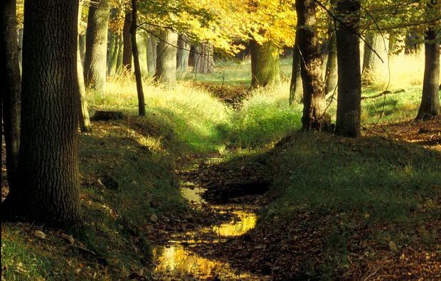 Fotokurs durch den Wildpark Dülmen als Geschenk