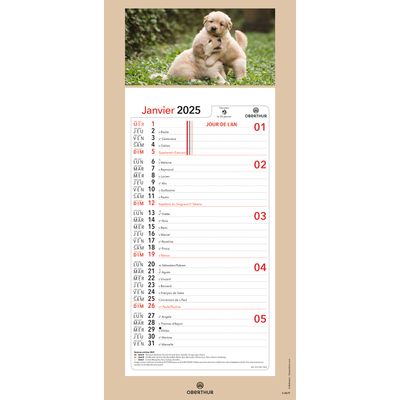 Calendrier mensuel en papier sur plaque illustrée - 16 x 33 cm - différents modèles disponibles - Oberthur