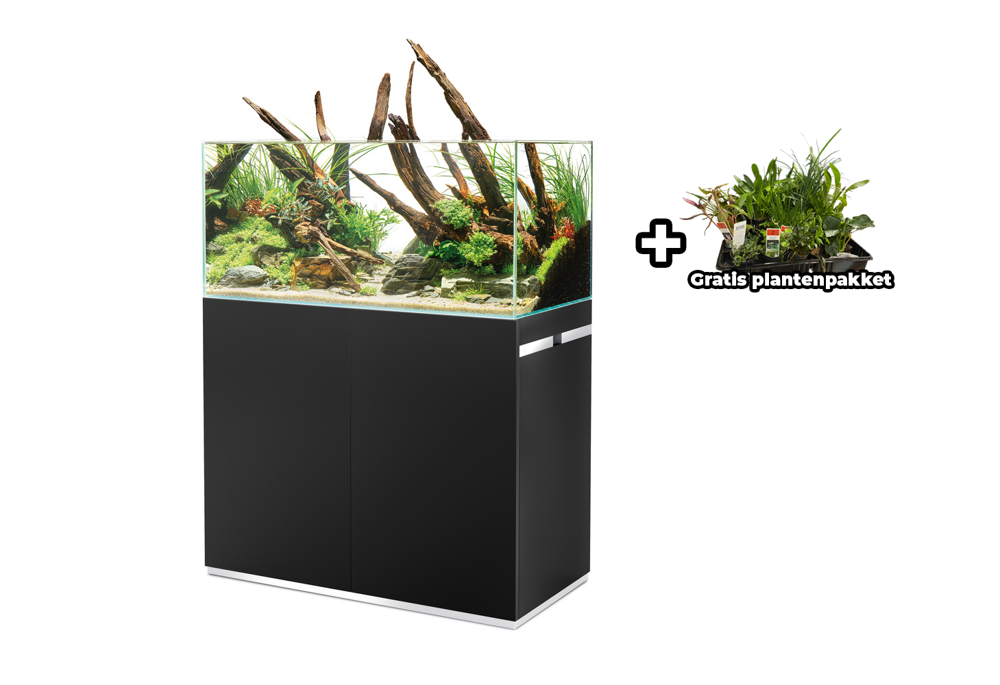 Oase ScaperLine 100 Set Zwart | Aquascaping