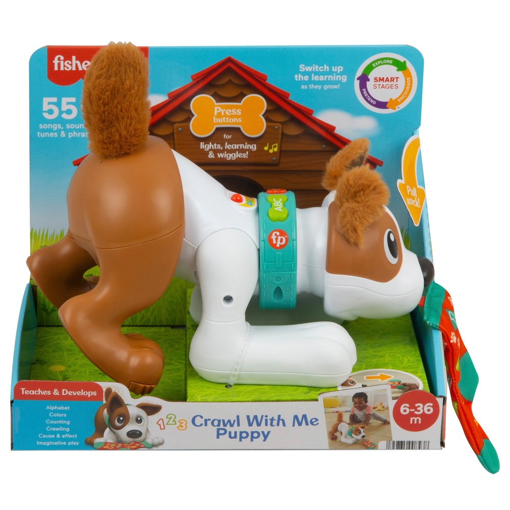 Fisher-Price 123 Krabbel-mit-mir-Welpe-Babyspielzeug