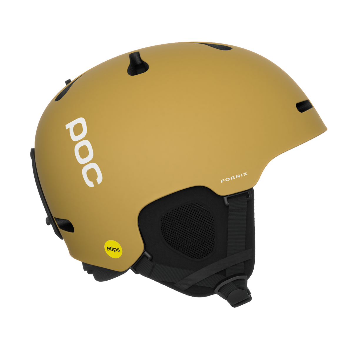 POC<br>Fornix MIPS