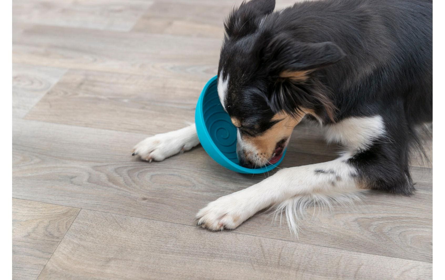 Lick'n'Snack Bowl, ø 16 cm, BlauSnack-Spielzeug