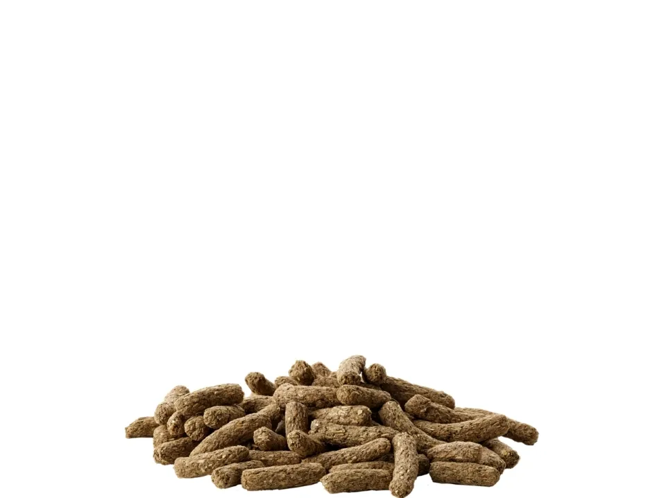 Versele-Laga Cavia Complete, Snack, 500 g, Marsvin, Vitamin A, vitamin C, vitamin D3, vitamin E, Kobber, Jod, Jern, Mangan, Selenium, Zink, 14%