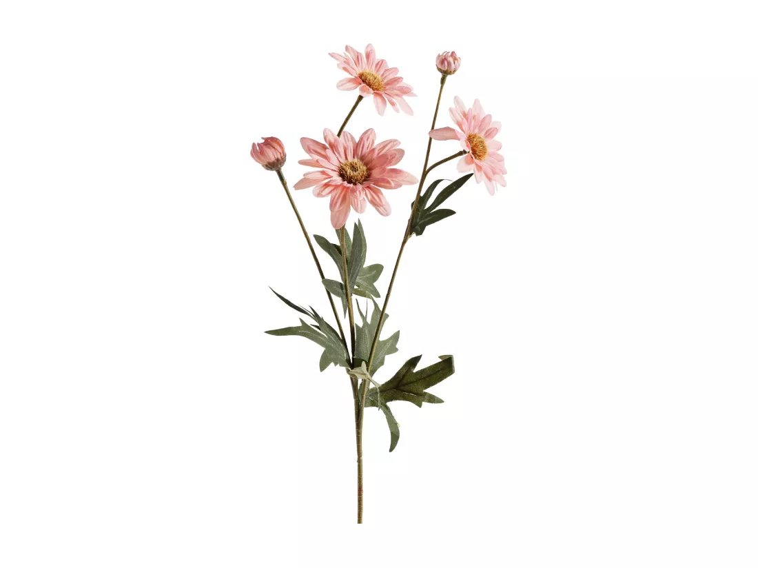 Fleur Margareto rose moyen 48 x 15 x 8