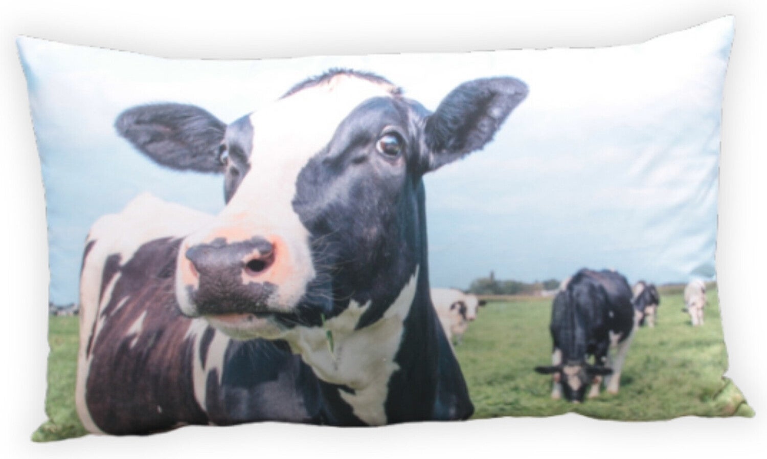 Farmwood Animals sierkussen koeien multi 40 x 60 x 2 cm