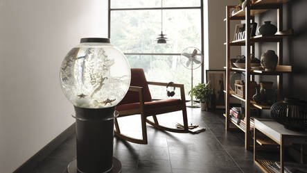 biOrb Classic 60 MCR Zwart | Aquarium