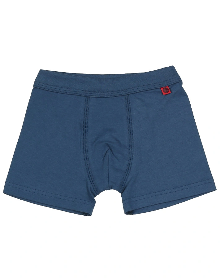 Boxershorts CARS 21 3er Pack in blau
