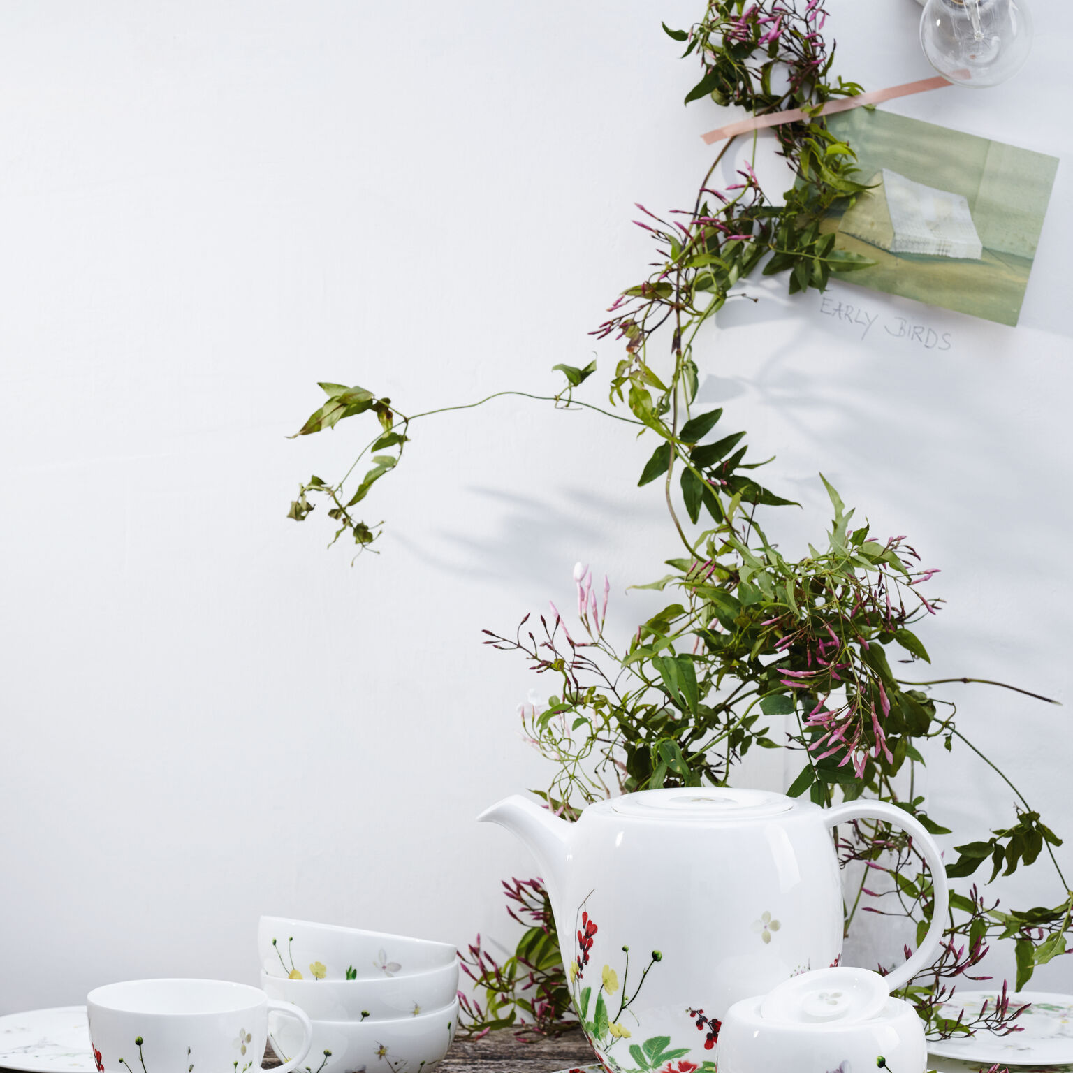 Brillance Bone China Fleurs Sauvages Tee-/Cappuccino-Obertasse