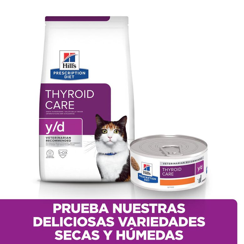 Ração Hill's Prescription Diet Thyroid Care para gatos (y/d)