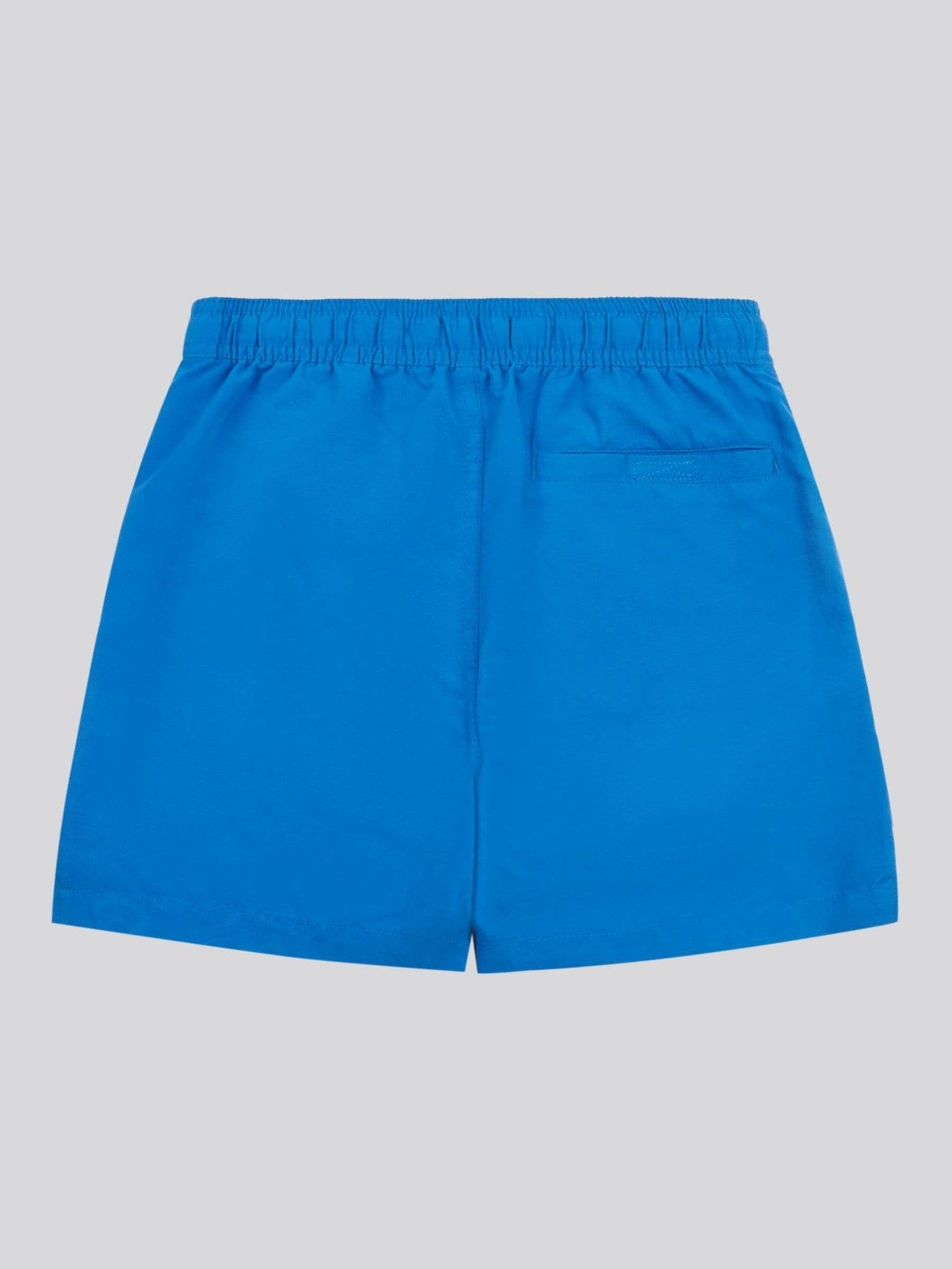Lichtblauw - U.S. Polo Assn. Boys Cut and Sew Swim Shorts