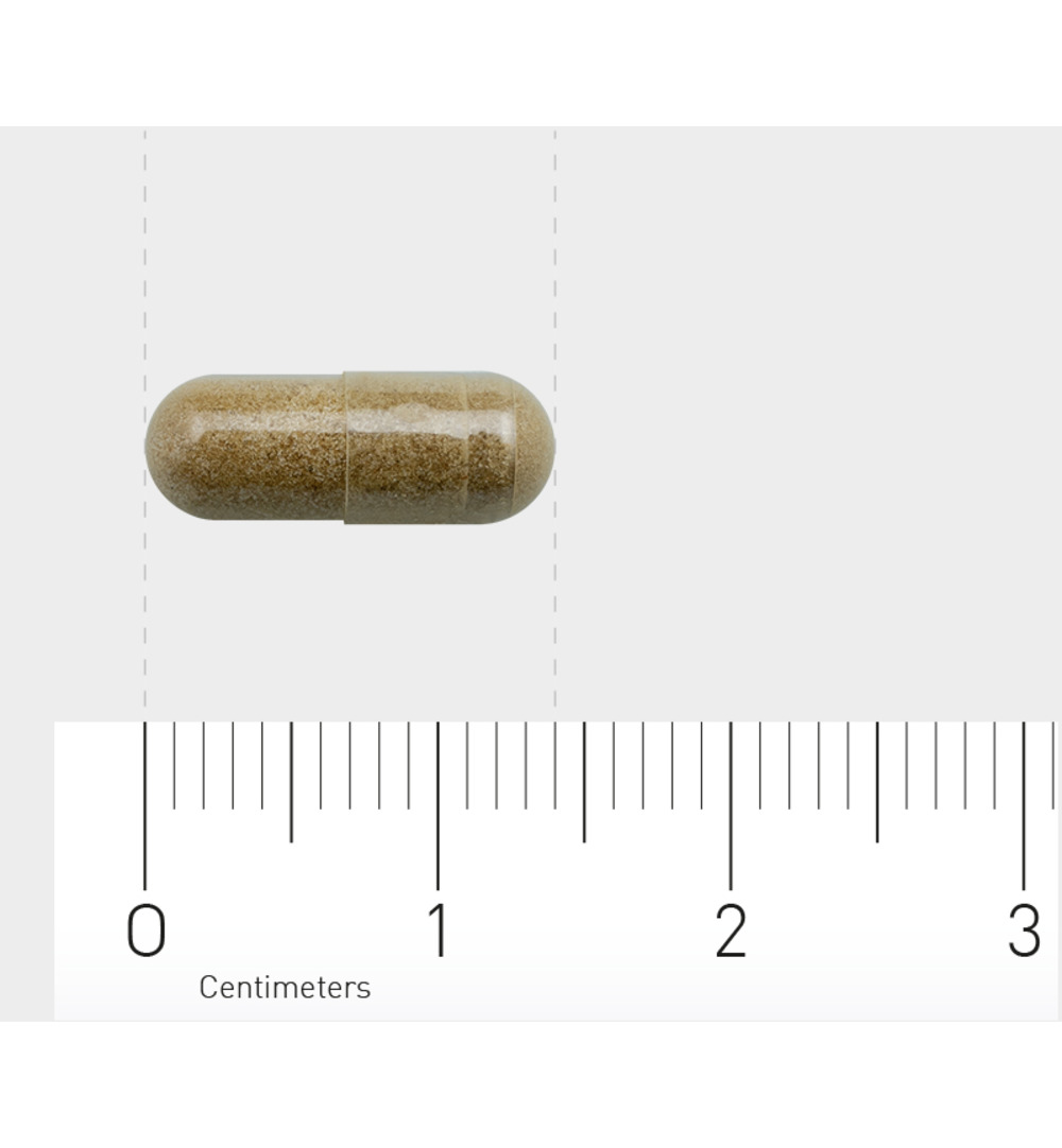 Orthica Weerstand kuur (30 capsules)