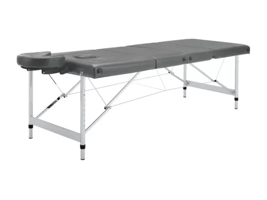 Table de massage 4 argenté 186 x 68 x 59 cm 02_0001799