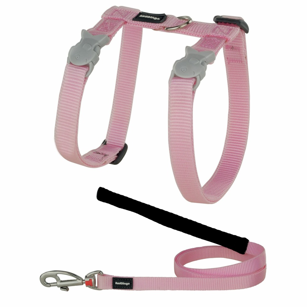 Ensemble harnais et laisse red dingo chats basic rose