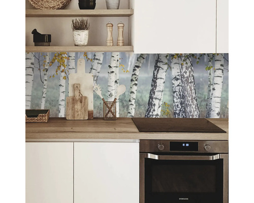 Keukenachterwand mySpotti Profix berkenbos 100 x 60 cm PX-10060-14-HB